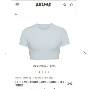 NWT SKIMS fits everybody super cropped t-shirt in color Sky size Large